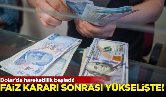 Dolar/TL faiz kararı sonrası yükselişte