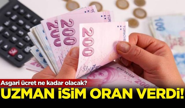 Asgari ücret ne kadar olacak? Uzman isim oran verdi...