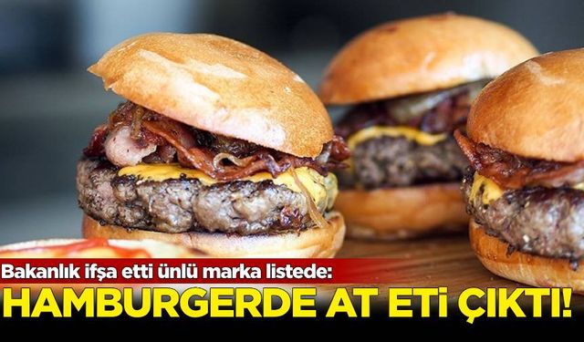 Bakanlık ifşa etti ünlü marka listede: Hamburgerden 'at eti' çıktı