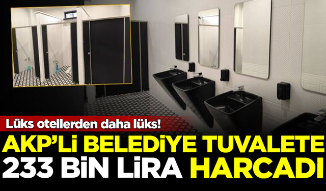 Lüks otellerden daha lüks! AKP'li belediye tuvalete 233 bin TL harcadı