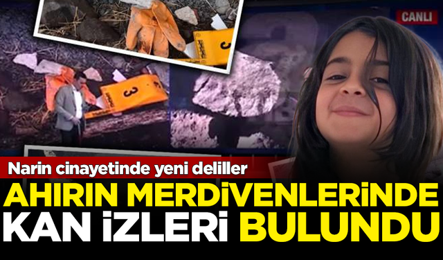 Narin cinayetinde yeni delil: Ahırın merdiveninde kan izleri bulundu