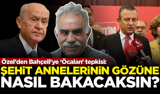 Özel’den Bahçeli’ye ‘Öcalan’ tepkisi: Şehit annelerini gözüne nasıl bakacaksın?