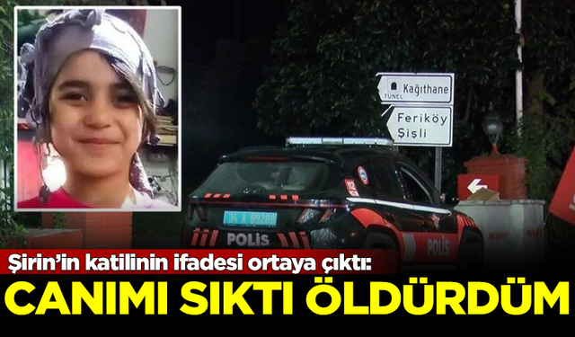 Şirin’in katilinin ifadesi ortaya çıktı: Canımı sıktı, ben de öldürdüm