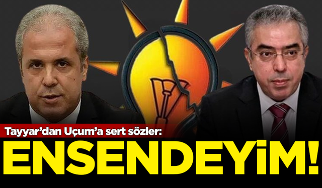 AKP'li Şamil Tayyar'dan Mehmet Uçum'a sert sözler: Ensendeyim!