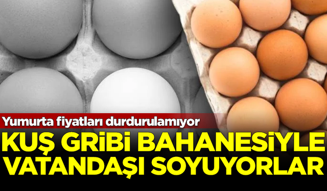 Yumurta fiyatları durdurulamıyor! Kuş gribi bahanesiyle vatandaşı soyuyorlar