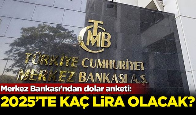 Merkez Bankası'ndan dolar anketi: 2025'te kaç lira olacak?