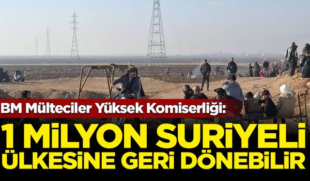 BM Mülteciler Yüksek Komiserliği: 2025'in ilk yarısında 1 milyon Suriyeli ülkesine geri dönebilir