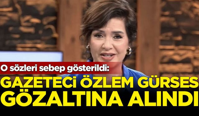 Gazeteci Özlem Gürses gözaltına alındı