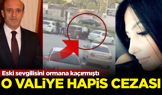 Eski sevgilisini ormana kaçırmıştı... O valiye 10 ay hapis cezası