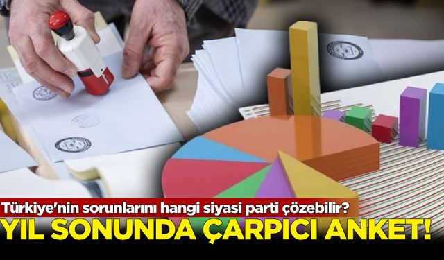 Yıl sonunda çarpıcı anket: Türkiye'nin sorunlarını hangi siyasi parti çözebilir?