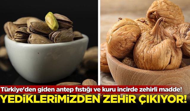 Yediklerimizden 'zehir' çıkıyor: Antep fıstığı ve kuru incirde 'zehirli' madde!