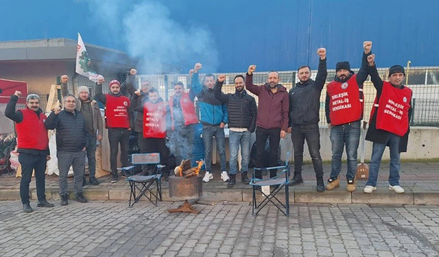 Metal işçilerinin grevi, Erdoğan'ın yasağına rağmen devam ediyor