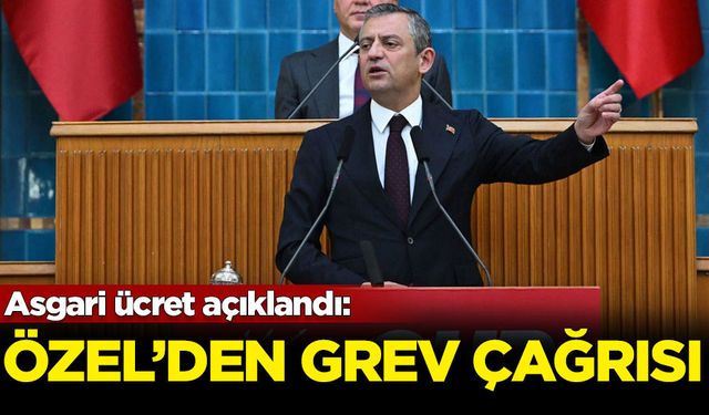 Asgari ücret açıklandı: Özel'den grev çağrısı