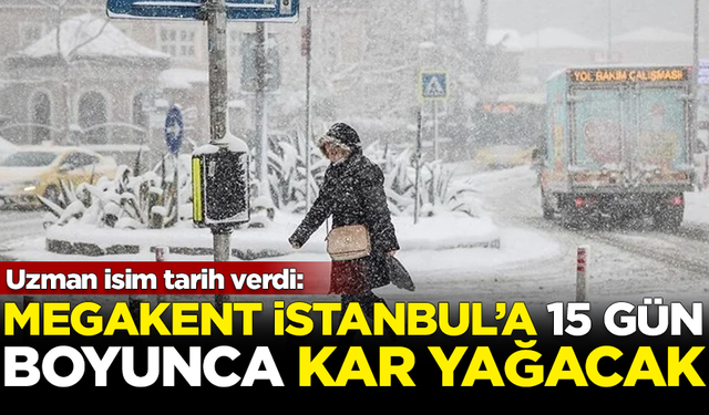 Uzman isim tarih verip açıkladı: İstanbul'a 15 gün boyunca kar yağacak