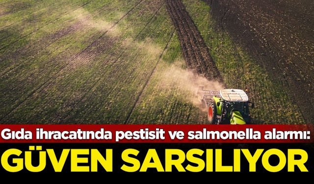 Gıda ihracatında pestisit ve salmonella alarmı