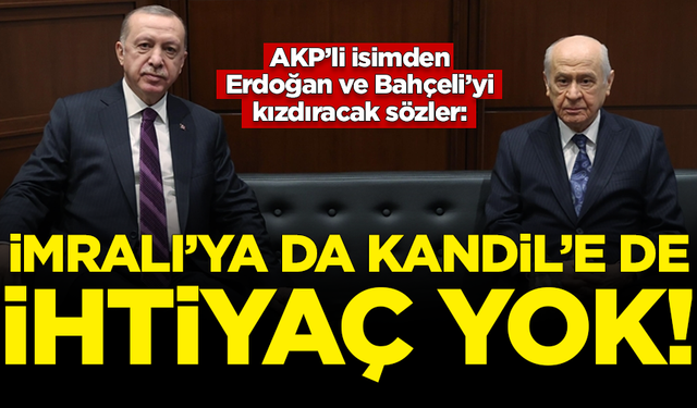 AKP'li Şamil Tayyar'dan Erdoğan ve Bahçeli'yi kızdıracak sözler: İmralı'ya da, Kandil'e de ihtiyaç yok