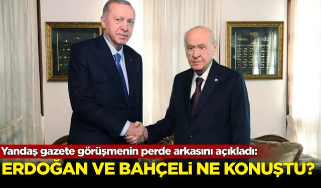 Yandaş gazete, Erdoğan-Bahçeli görüşmesinin perde arkasını açıkladı