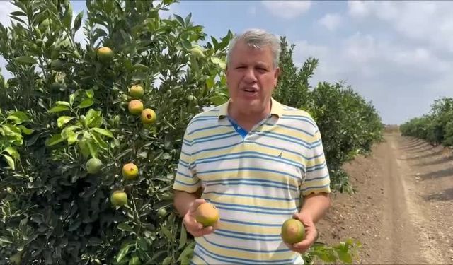 CHP'li Ayhan Barut'tan tarım açıklaması: Çiftçileri sıcak yaktı!