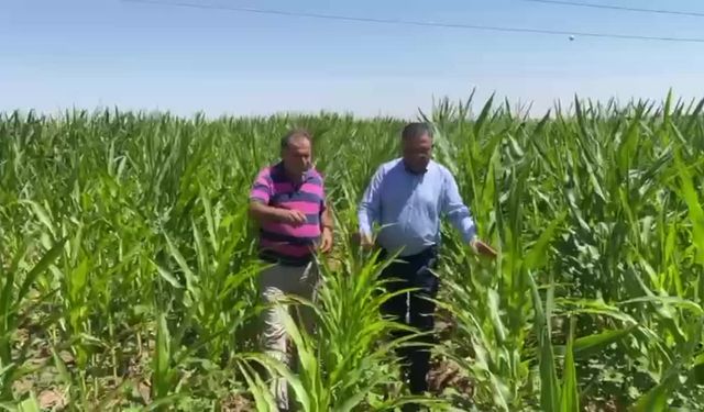 Diyarbakır’da çiftçilerle bir araya gelen CHP’li Tanrıkulu: Çiftçiler fakirleşmiştir