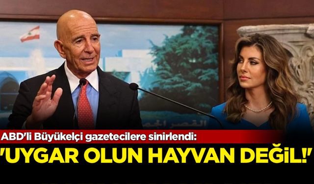 ABD'li Büyükelçi gazetecilere sinirlendi: Uygar olun hayvan değil!