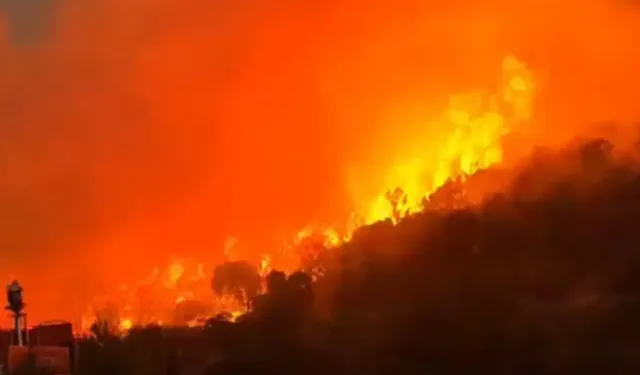 Balıkesir'de orman yangını!