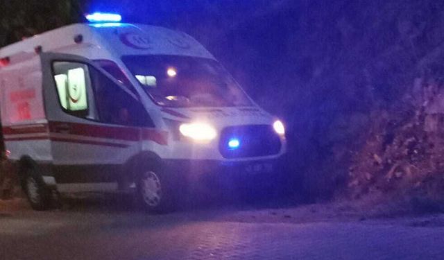 Muğla’da bir genç, annesini av tüfeğiyle öldürdü