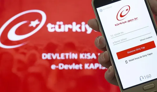e-Devlet'ten yeni uygulama: Resmen hizmete başladı