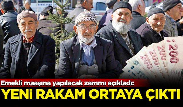 Emekli maaşına yapılacak zammı açıkladı!