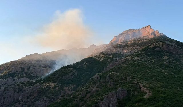 Munzur Vadisi Milli Parkı'ndaki yangın 4 günde söndürüldü