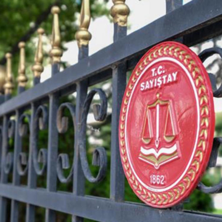 Sayıştay'a dikkat çeken atama