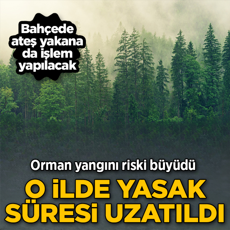 Ankara'da ormanlık alanlara giriş yasağı 15 Ekim'e uzatıldı: Bahçe ve tarlalarda ateş yakmak da yasak