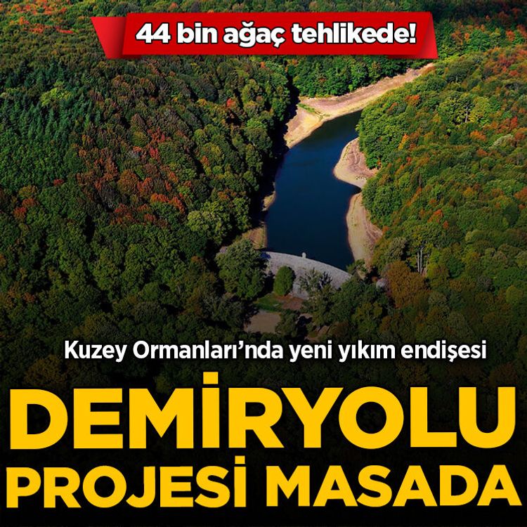 Kuzey Ormanları’nda yeni yıkım endişesi: Demir yolu projesi masada