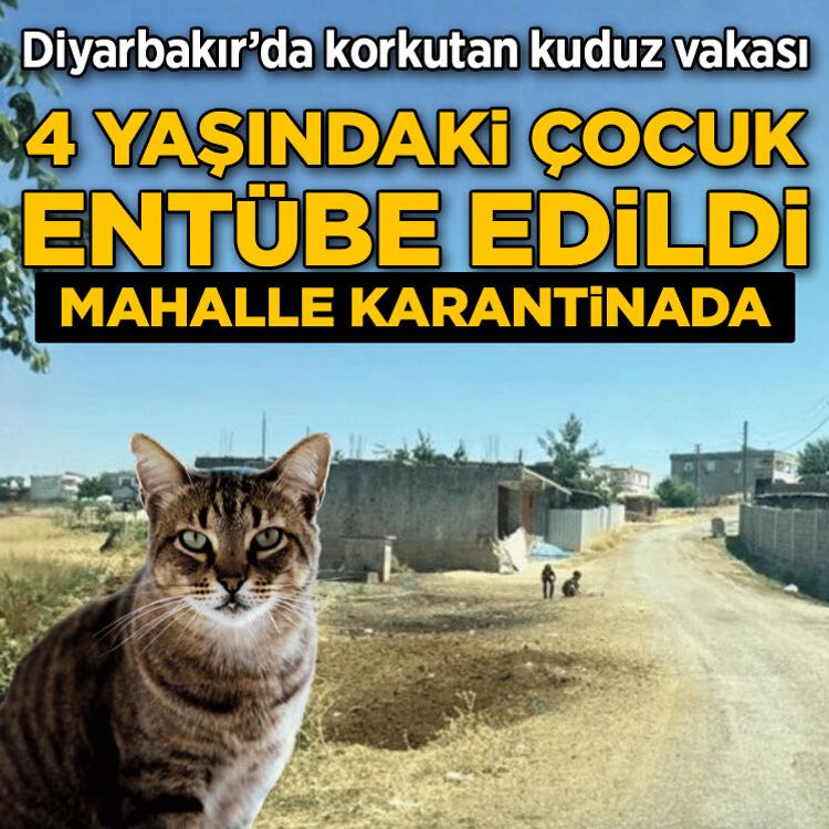 Diyarbakır’da kuduz vakası: 4 yaşındaki çocuk entübe edildi