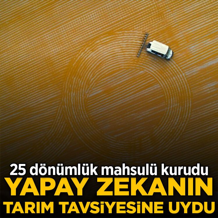 Yapay zekanın tarım tavsiyesine uydu: 25 dönümlük mahsulü kurudu