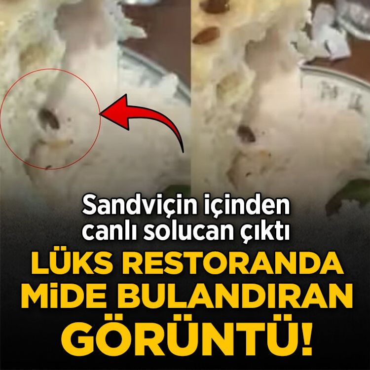 Lüks restoranda mide bulandıran görüntü! Sandviçin içinden canlı solucan çıktı