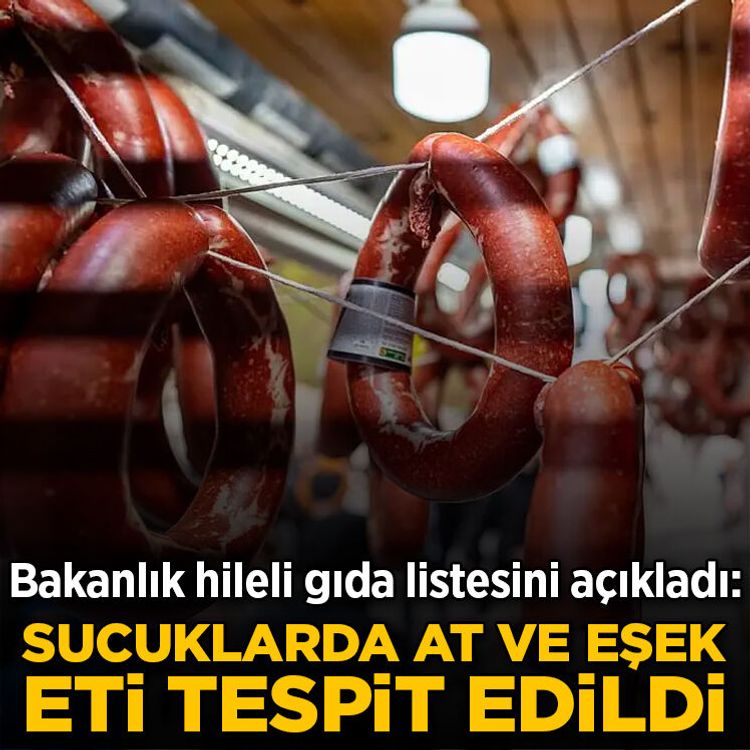 Bakanlık hileli gıda listesini açıkladı: Sucuklarda at ve eşek eti tespit edildi