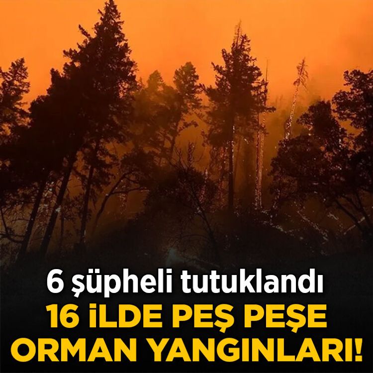 16 ilde peş peşe orman yangınları! 6 şüpheli tutuklandı