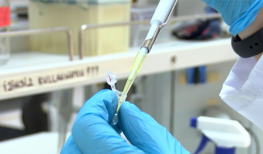 SMA'da ilaç tedavisi için kök hücre temelli test