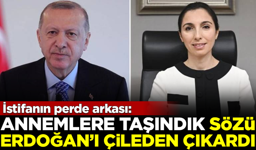 İşte istifanın perde arkası! 'Annemlere taşındık' sözü, Erdoğan'ı çileden çıkardı