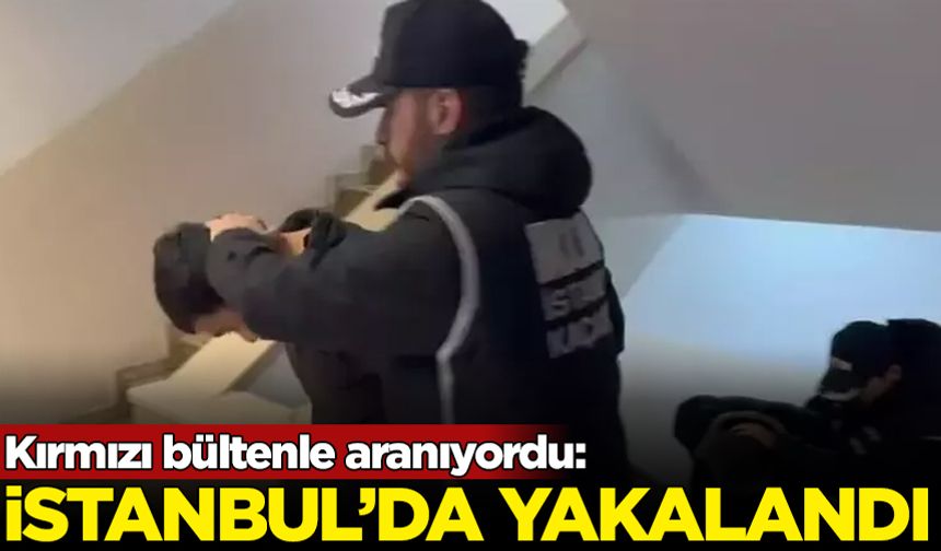 Kırmızı bültenle aranıyordu: İstanbul'da yakalandı