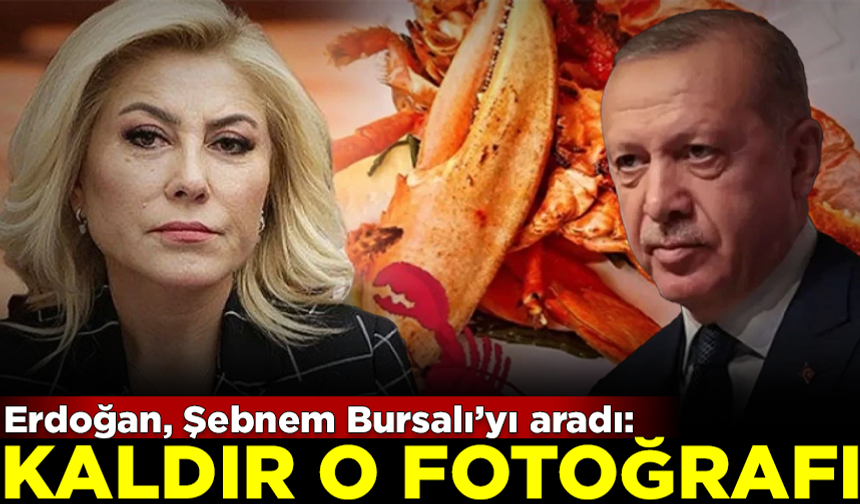 Istakoz skandalında yeni gelişme! Erdoğan, Şebnem Bursalı'yı aradı