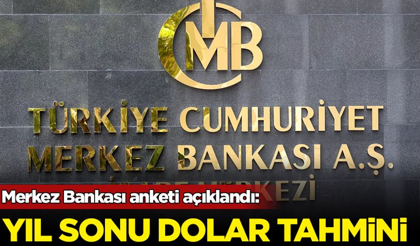 Merkez Bankası anketi açıklandı: Yıl sonu dolar tahmini