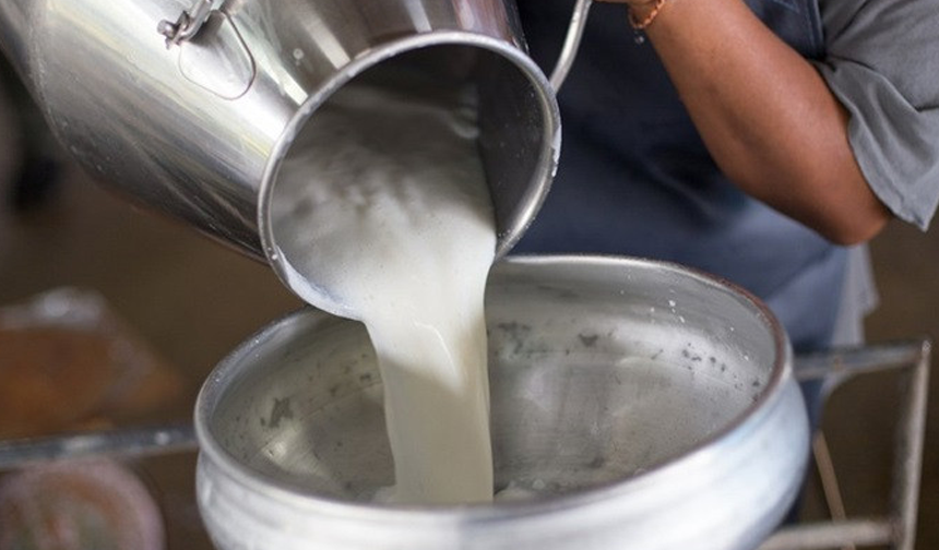 CHP'li Gürer uyardı: Ağustos ayında süt krizi çıkabilir