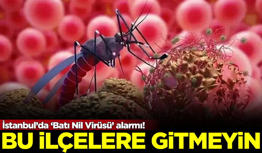 İstanbul’da ‘Batı Nil Virüsü’ alarmı! Bu ilçelere gitmeyin