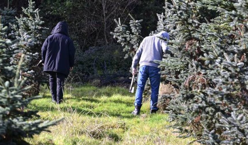 Bakanlık tüm izinleri kaldırdı: Tüm personel yılbaşı ağacı nöbetinde