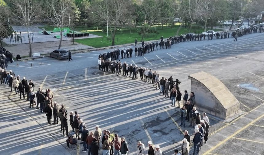 Bedava bir dal için kilometrelik kuyruk oluştu