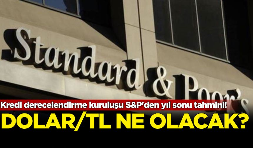 Dev kredi derecelendirme kuruluşu S&P'den yıl sonu dolar/TL tahmini!