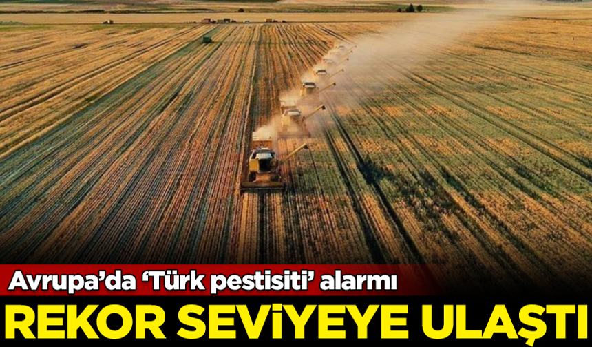 Avrupa’da ‘Türk pestisiti’ alarmı! Rekor seviyeye ulaştı