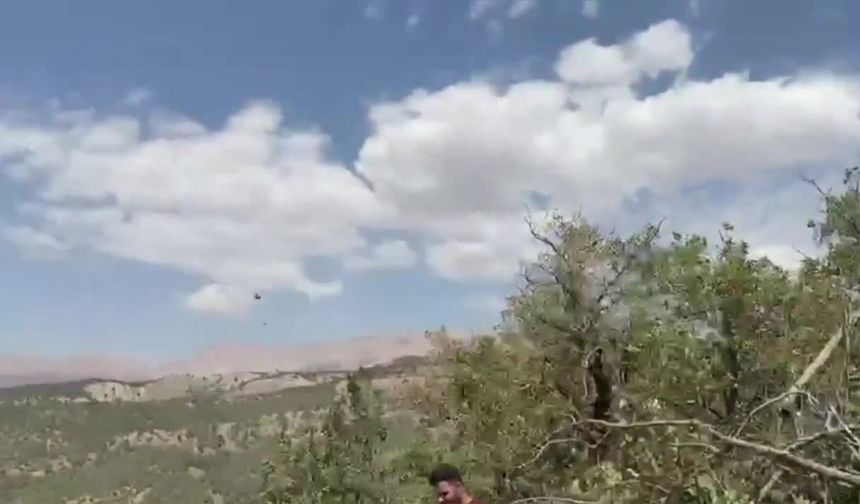 Şırnak’ta orman yangını kontrol altına alındı