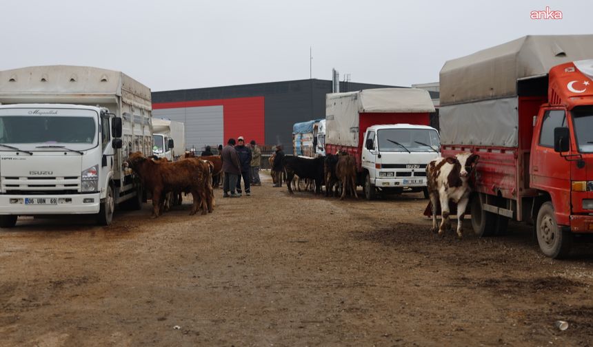 Kırıkkale Hayvan Pazarı, şap hastalığı nedeniyle geçici olarak kapatıldı